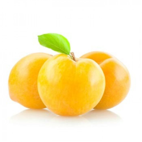 بخارة صفراء