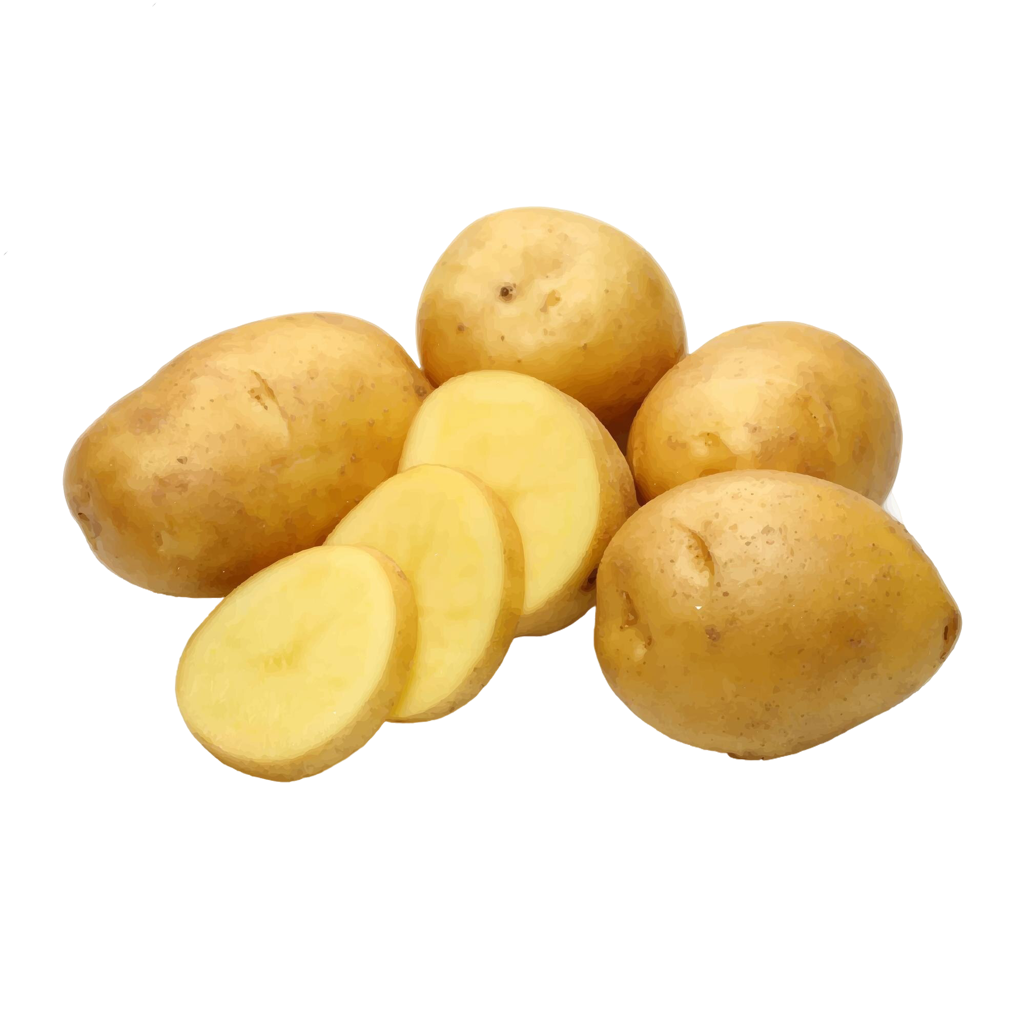 بطاط زهرة حمراء