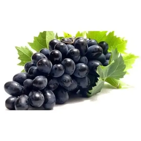 عنب أسود