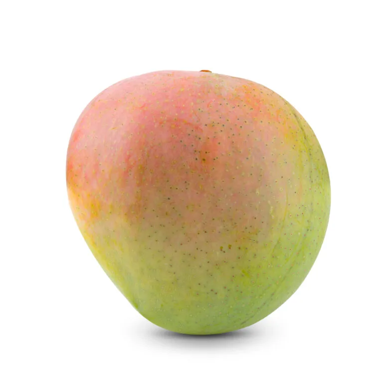 منجا بومباي