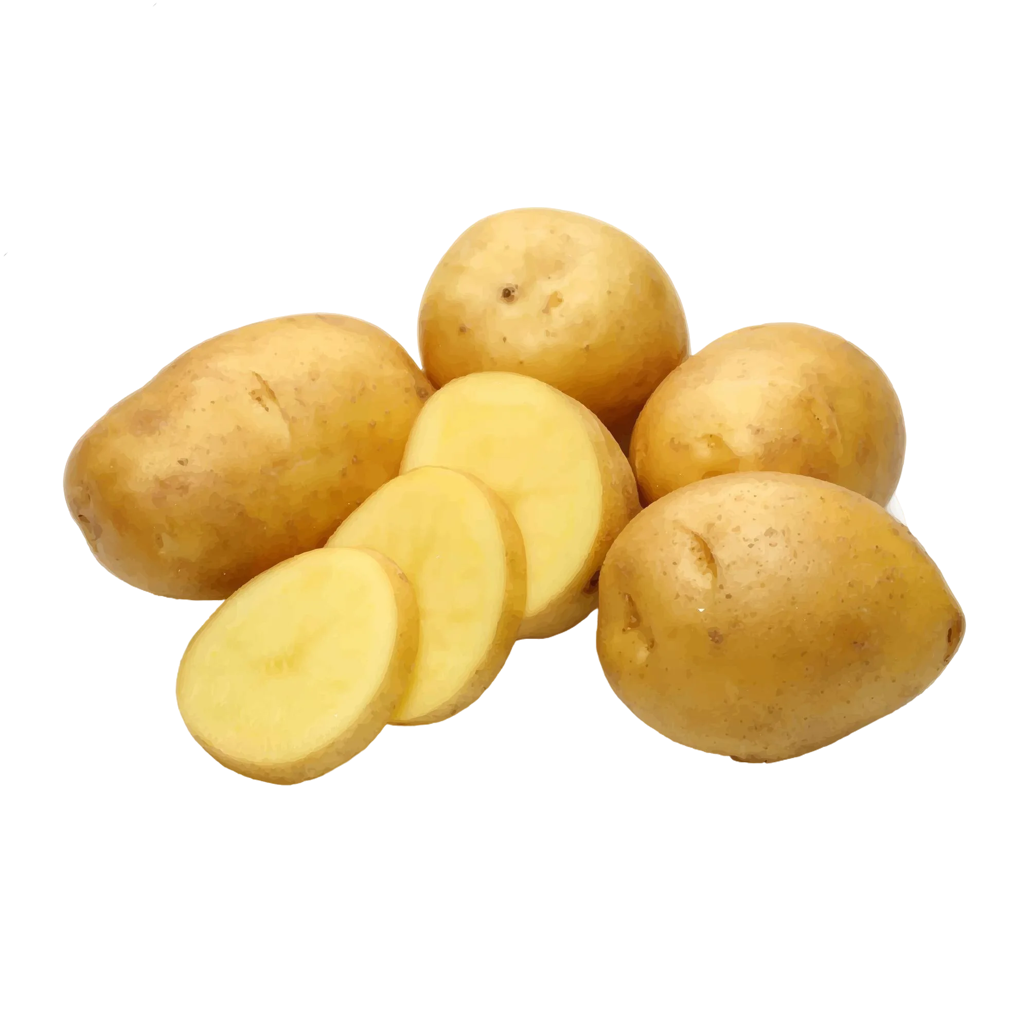 بطاط زهرة حمراء