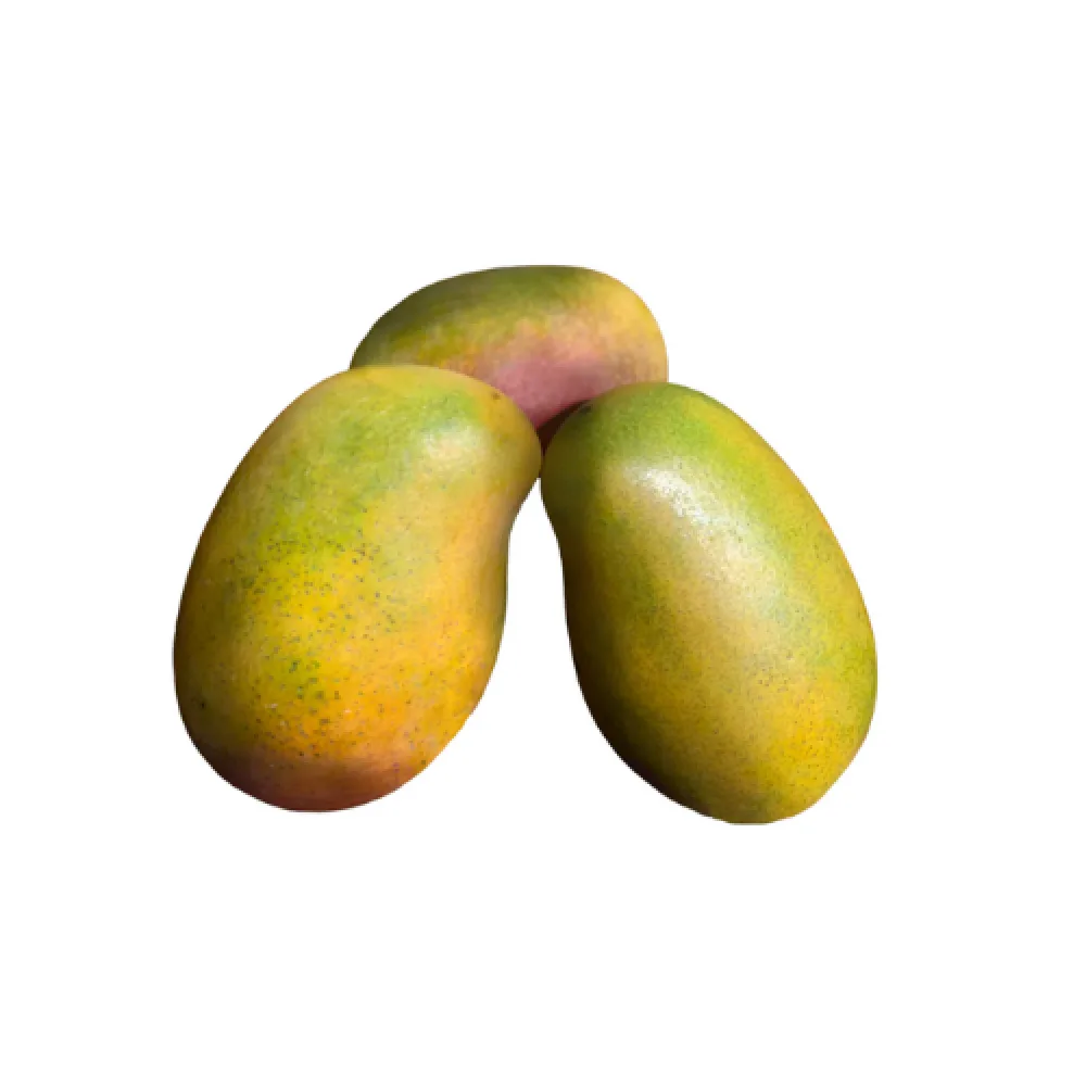 مانجو سوداني
