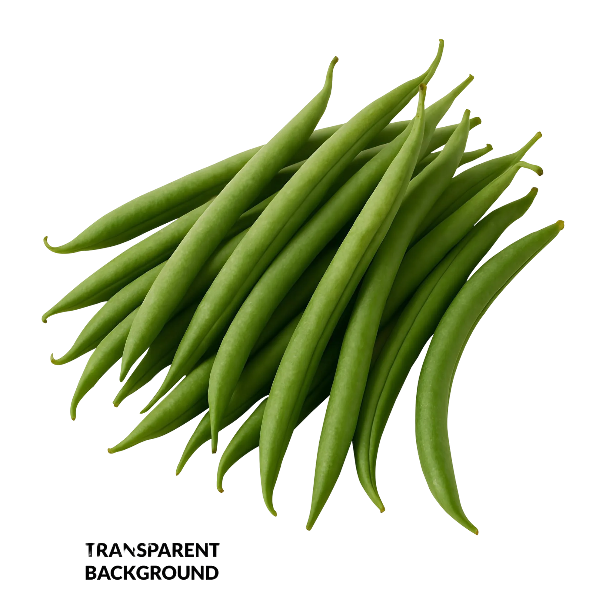 فاصوليا بيضاء