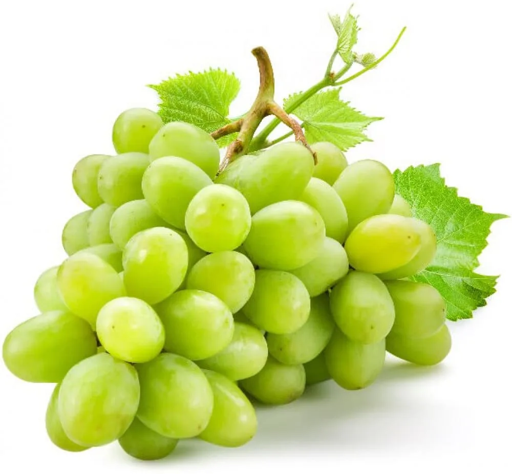 عنب اخضر جبري